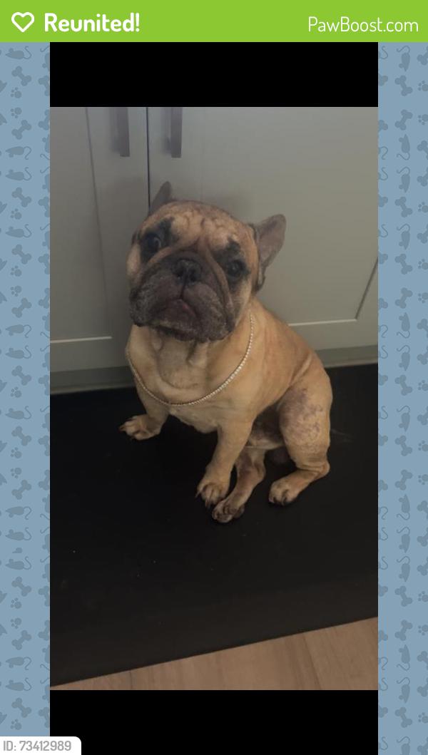 Reunited Male Dog last seen Lander, Turlock, CA 95380