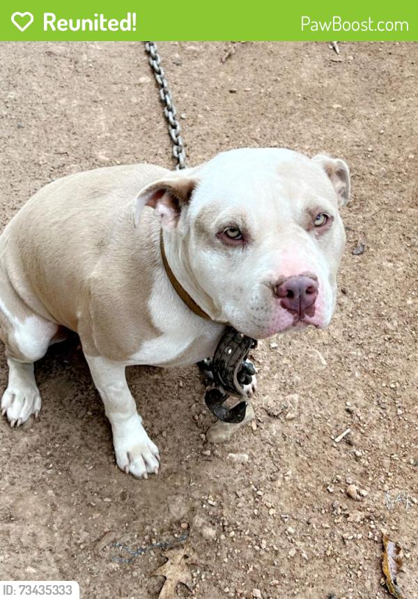 Reunited Female Dog last seen Near Spearman Rd, Pinson, AL 35126