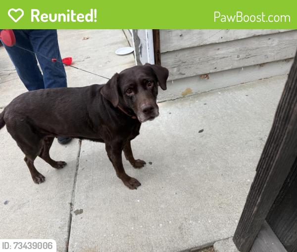 Reunited Female Dog last seen Perry Rd and Decoto, Union City, CA 94587