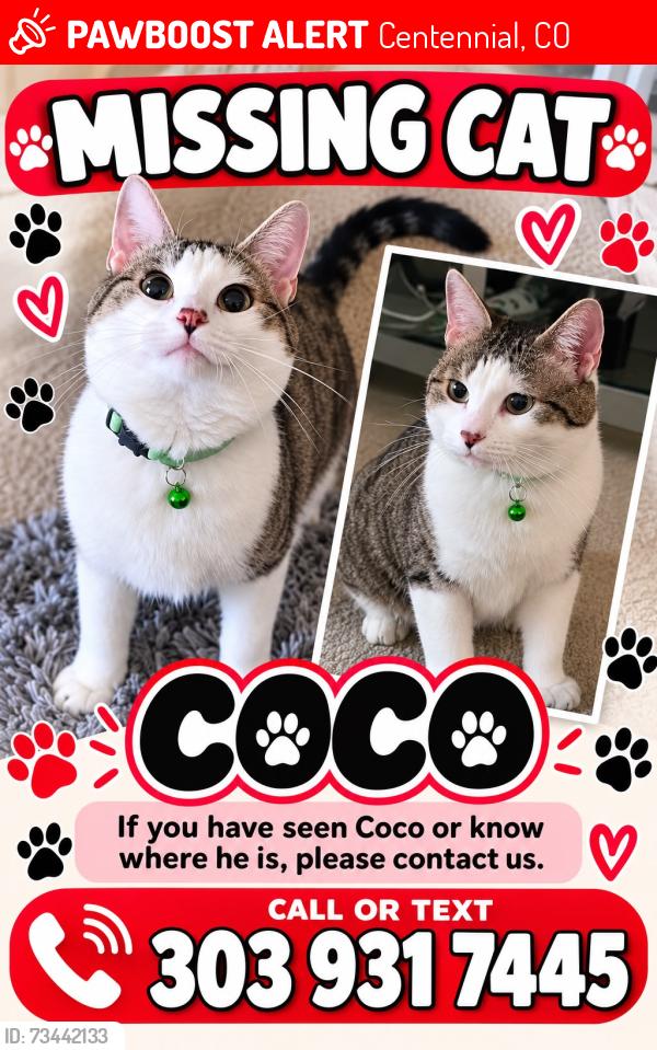 Lost Male Cat last seen Dry creek gas and snacks, Centennial, CO 80112