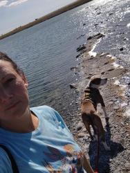 Lost Male Dog last seen 28th st south park, Billings, MT 59101