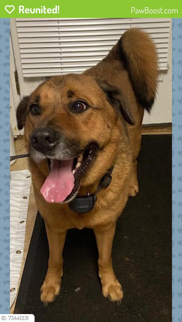 Reunited Male Dog last seen Cashell Rd, Olney, MD 20832