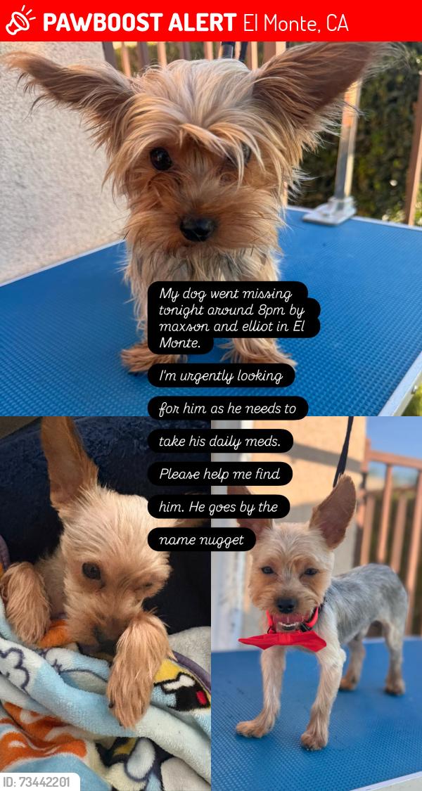 Lost Male Dog last seen Maxson and Elliot, El Monte, CA 91732