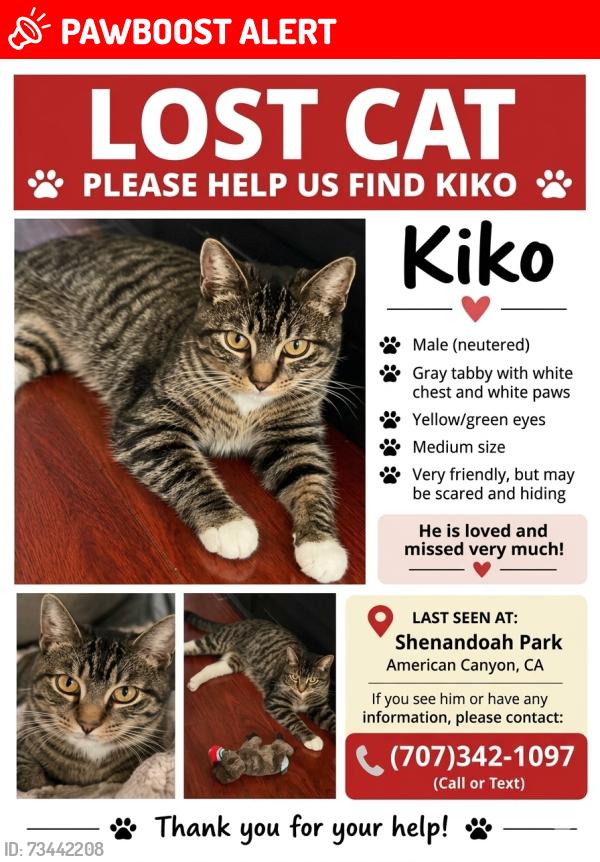 Lost Male Cat last seen Shanandoah Park, American Canyon, CA 94503
