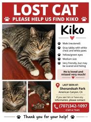 Lost Male Cat last seen Shanandoah Park, American Canyon, CA 94503