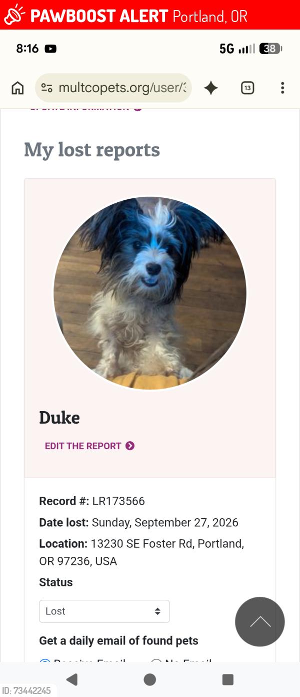 Lost Male Dog last seen Near SE foster, Portland, OR 97236
