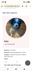 Lost Male Dog last seen Near SE foster, Portland, OR 97236