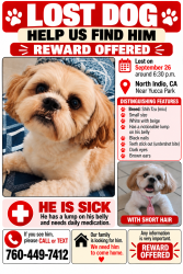 Lost Male Dog last seen Monroe and Jackson st, Indio, CA 92201