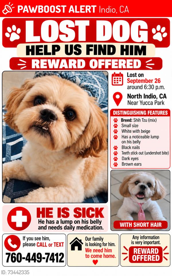 Lost Male Dog last seen Monroe and Jackson st, Indio, CA 92201