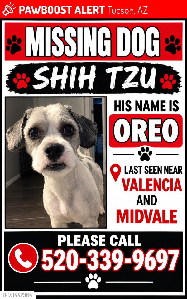 Lost Male Dog last seen Valencia, Tucson, AZ 85746