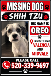 Lost Male Dog last seen Valencia, Tucson, AZ 85746