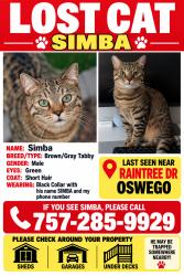 Lost Male Cat last seen Raintree Dr, Oswego, IL 60543