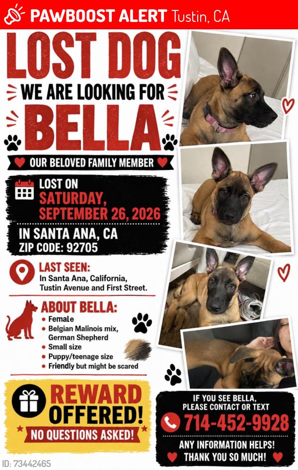 Lost Female Dog last seen 1st st Tustin ave, Tustin, CA 92780