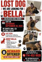 Lost Female Dog last seen 1st st Tustin ave, Tustin, CA 92780