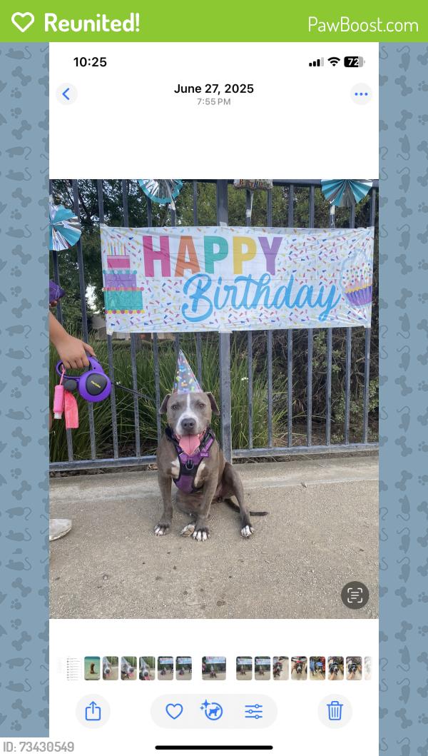 Reunited Female Dog last seen Near Whipplewood Dr Atwater, City of Atwater, CA 95301