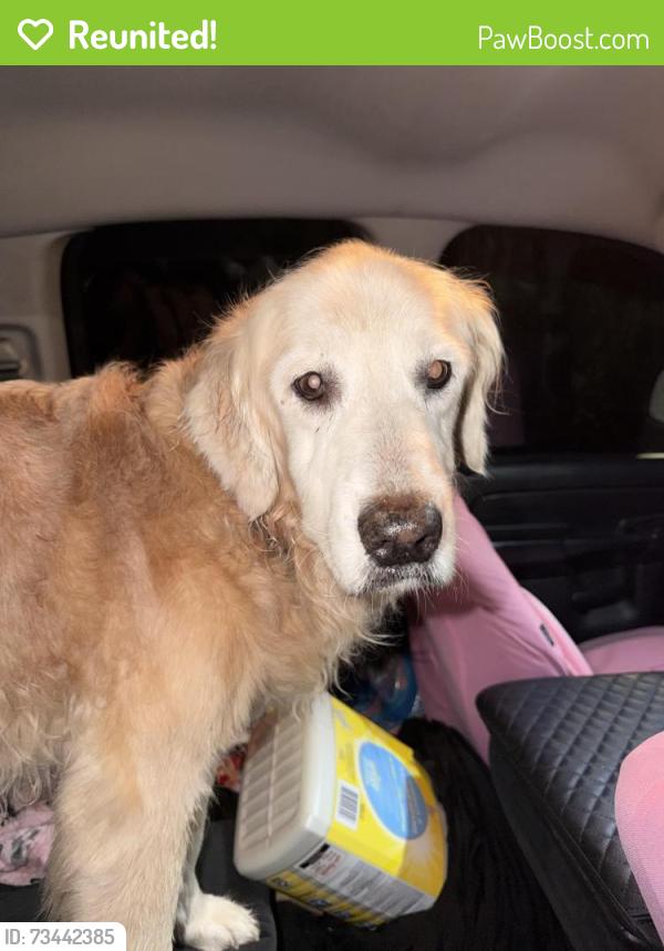 Reunited Unknown Dog last seen Park Plaza, La Mesa, CA 91942