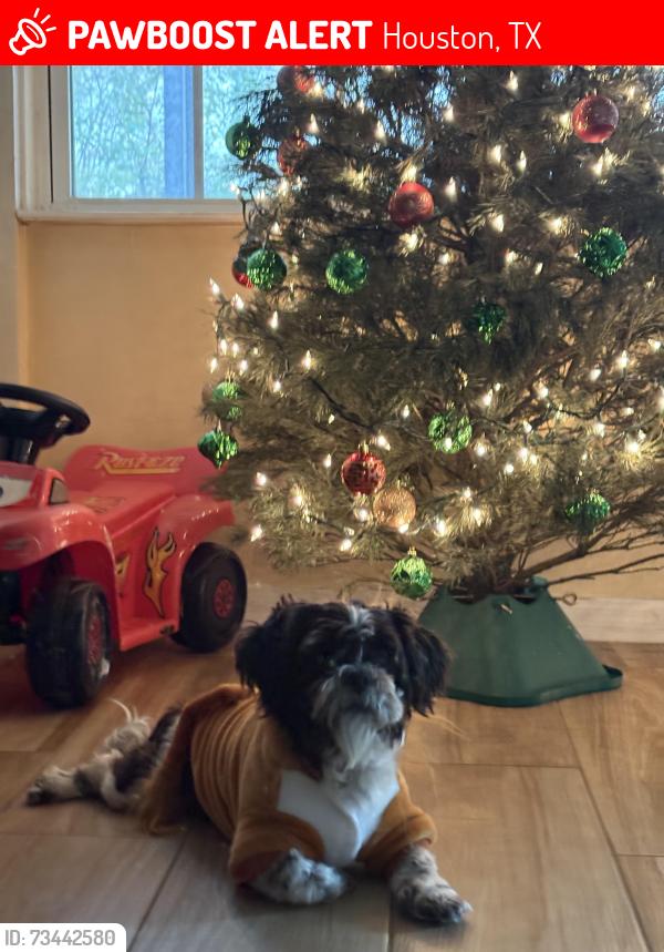 Lost Male Dog last seen Woodforest and uvalde, Houston, TX 77015