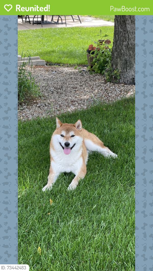 Reunited Male Dog last seen Dublin Ln $ 17th Ave E, Shakopee, MN 55379