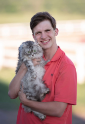 Lost Female Cat last seen Lucy Ct near Rice Pike (Redstone Village), Union, KY 41091