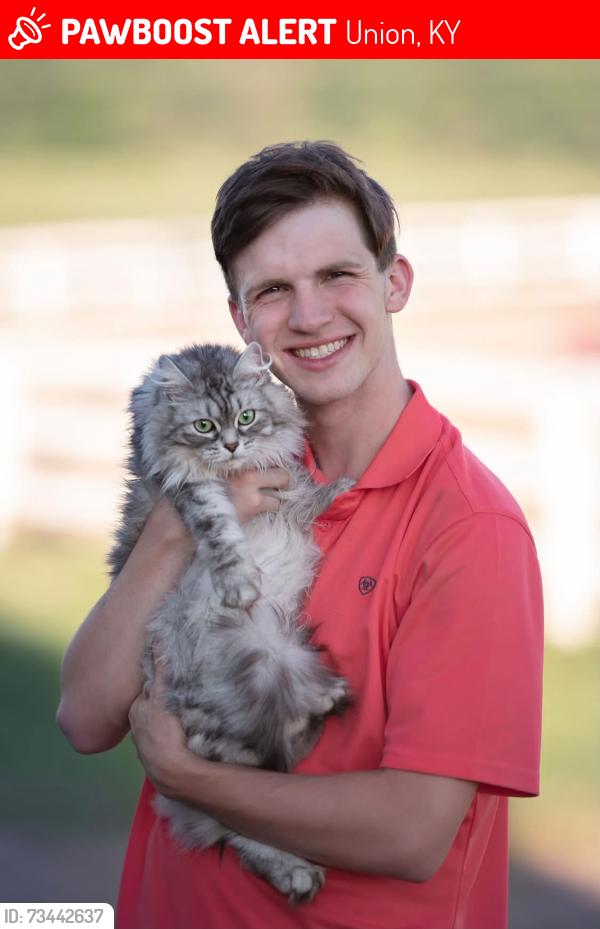 Lost Female Cat last seen Lucy Ct near Rice Pike (Redstone Village), Union, KY 41091