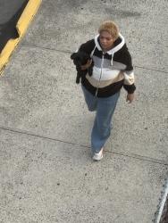 Reunited Unknown Dog last seen Near Bergen Ave, Jersey City, NJ 07304, USA, Jersey City, NJ 07304