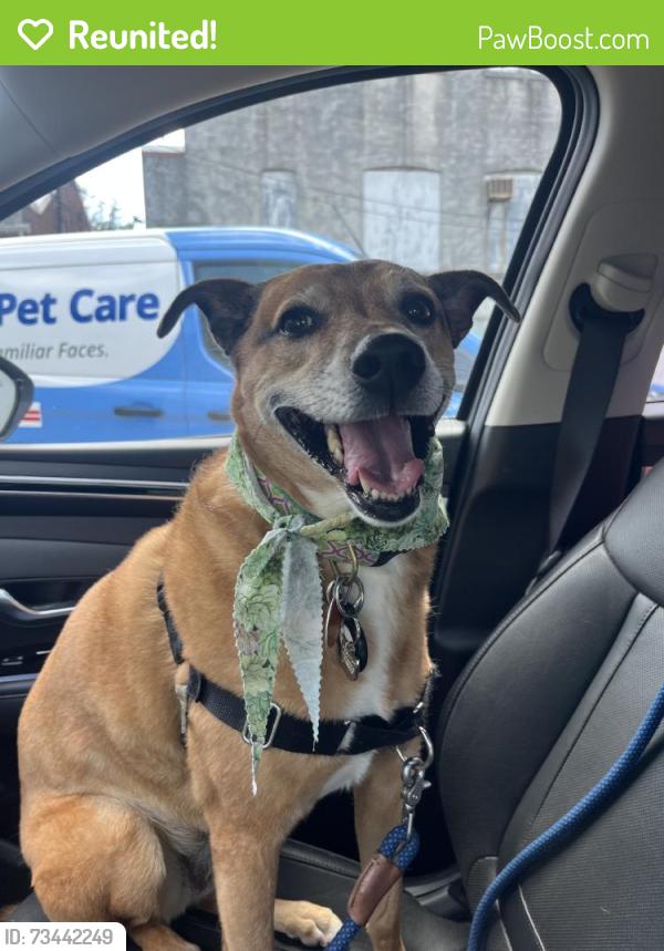 Reunited Female Dog last seen Near Navarre Dr, Chevy Chase, MD 20815, USA, Chevy Chase, MD 20815