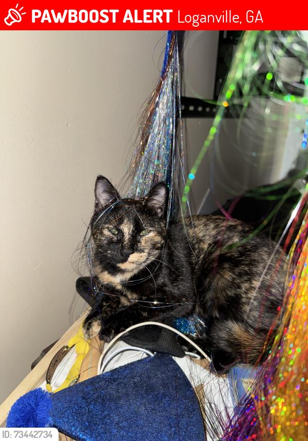 Lost Female Cat last seen Sharon church rd, Loganville, GA 30052