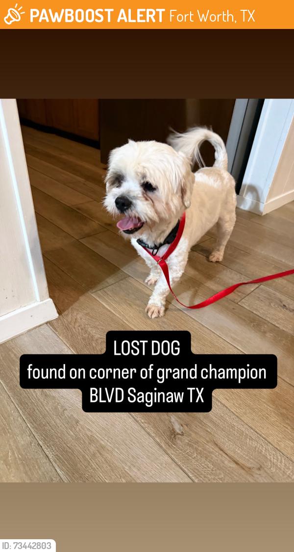 Found/Stray Unknown Dog last seen Grand Champion and Grand National, Fort Worth, TX 76179