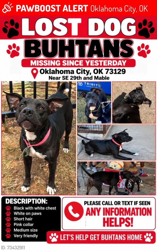 Lost Female Dog last seen SE 29th and mable, Oklahoma City, OK 73129