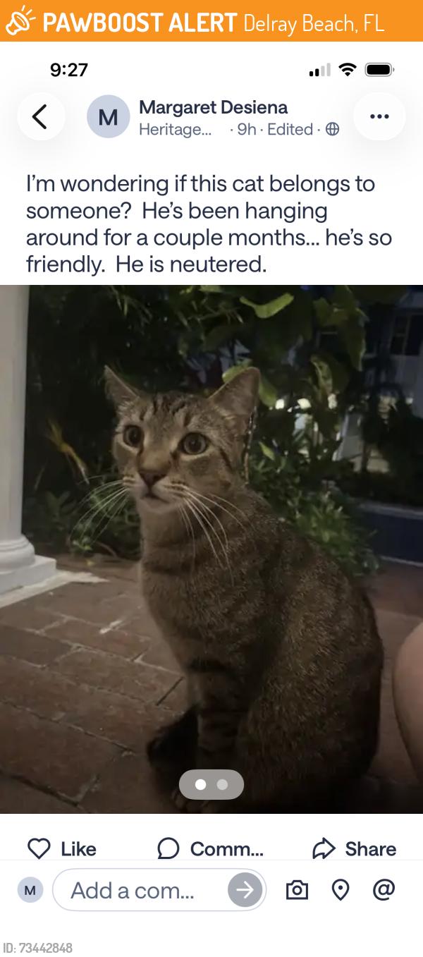 Found/Stray Male Cat last seen Heritage Club Circle and 10th St., Delray Beach, FL 33483