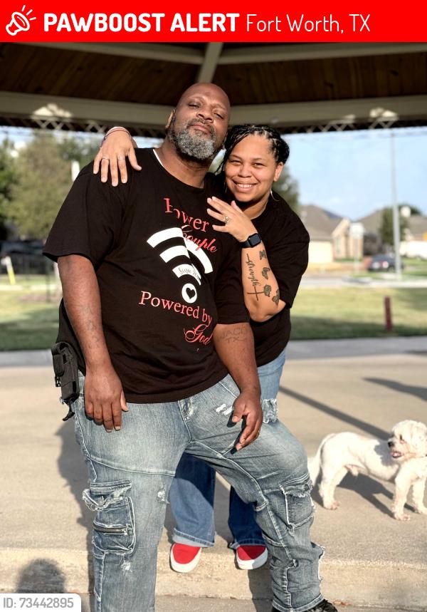 Lost Male Dog last seen Silver spur ln, Fort Worth, TX 76179