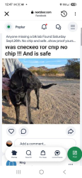 Found/Stray Female Dog last seen Feliste, Rosamond, CA 93560