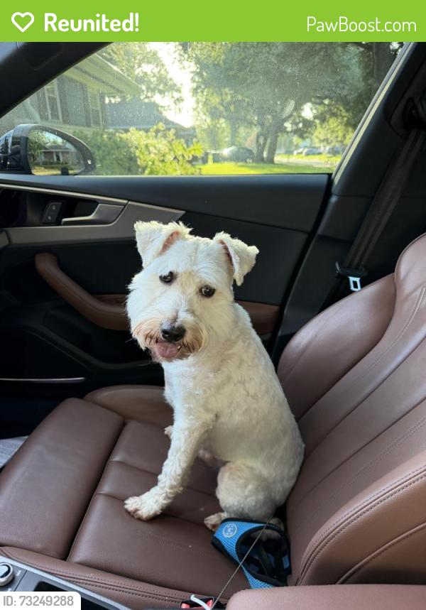 Reunited Male Dog last seen Pagewood ln and barrington, Houston, TX 77056