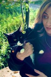 Lost Female Cat last seen My Vernon, Macomb County, MI 48306