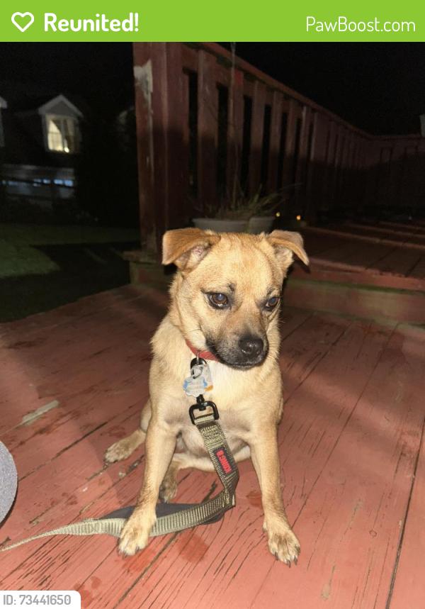 Reunited Male Dog last seen Strasburg rd, Coatesville, PA 19320