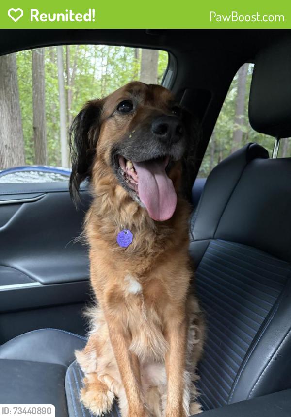 Reunited Male Dog last seen Andrew Chapel, Stafford County, VA 22554