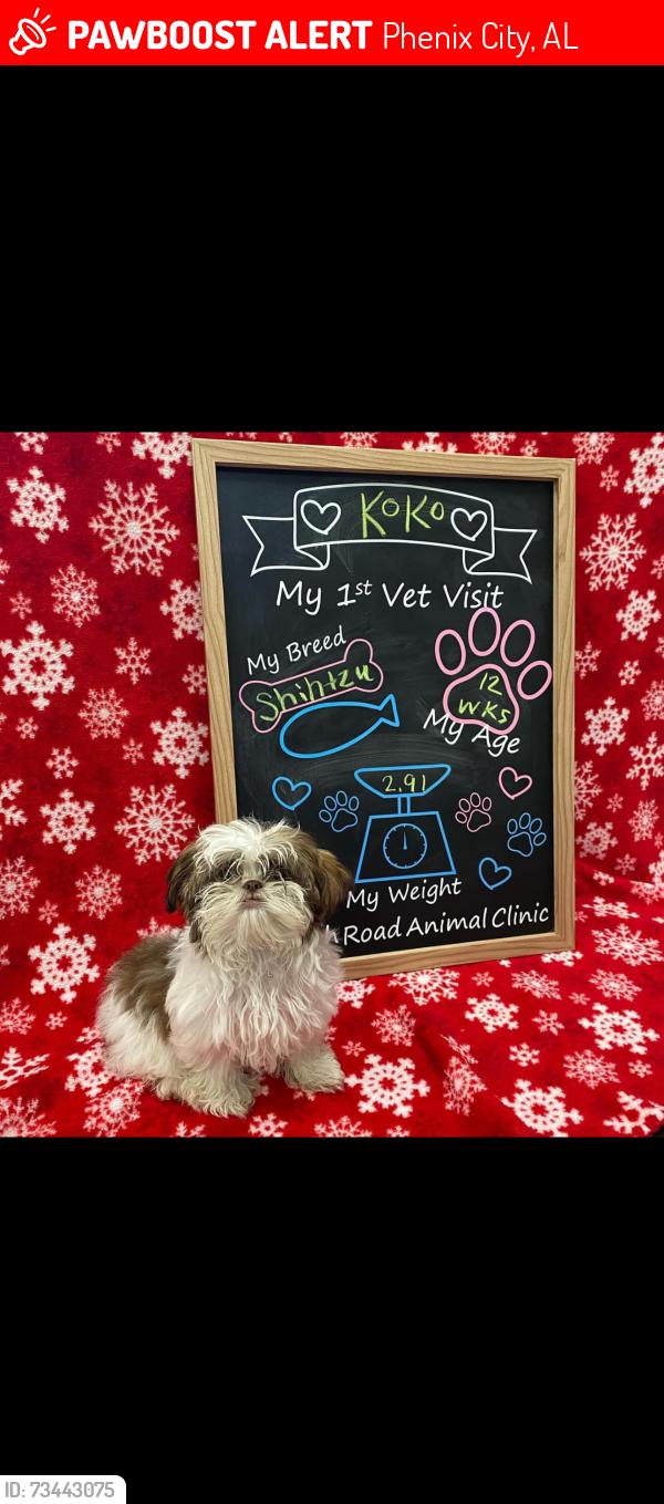 Lost Female Dog last seen Stadium dr, Phenix City, AL 36867