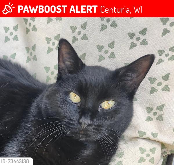 Lost Male Cat last seen 4th/Main & Michigan, Centuria, WI; near St. John's Lutheran Church, Centuria, WI 54824