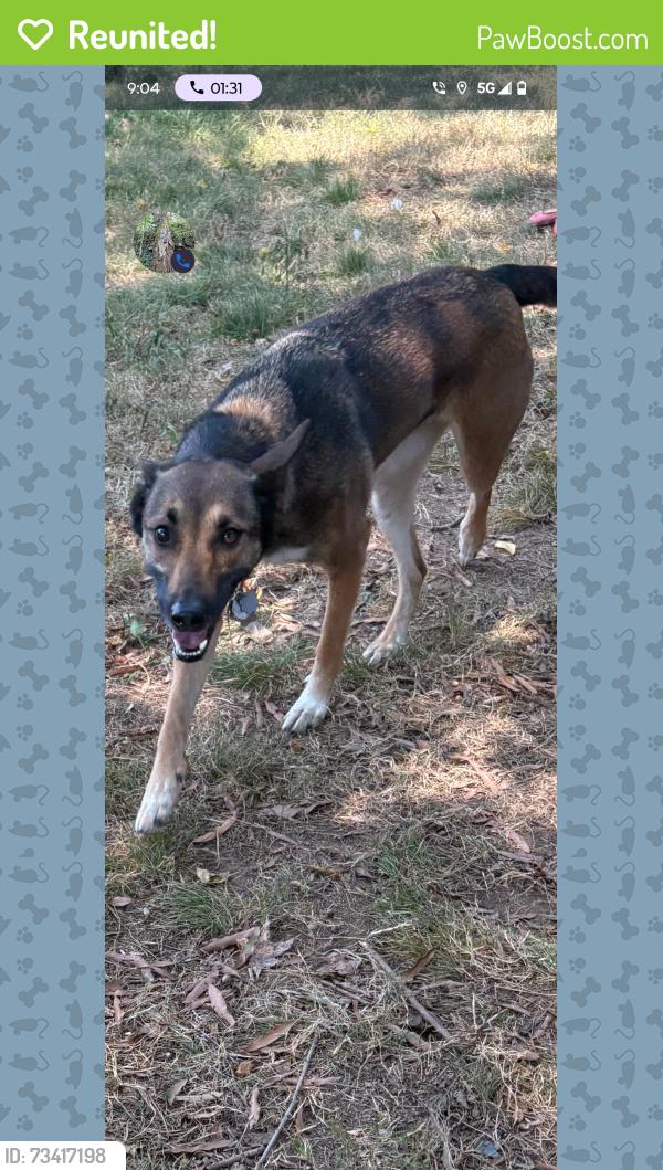 Reunited Female Dog last seen Ringgold, Ringgold, GA 30736