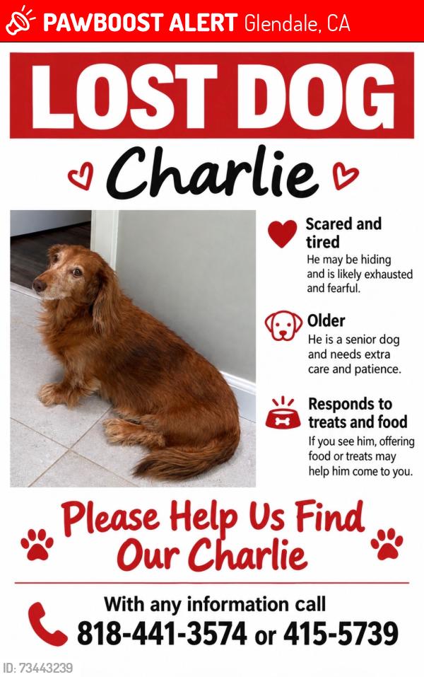Lost Male Dog last seen Chevy chase, Glendale, CA 91206