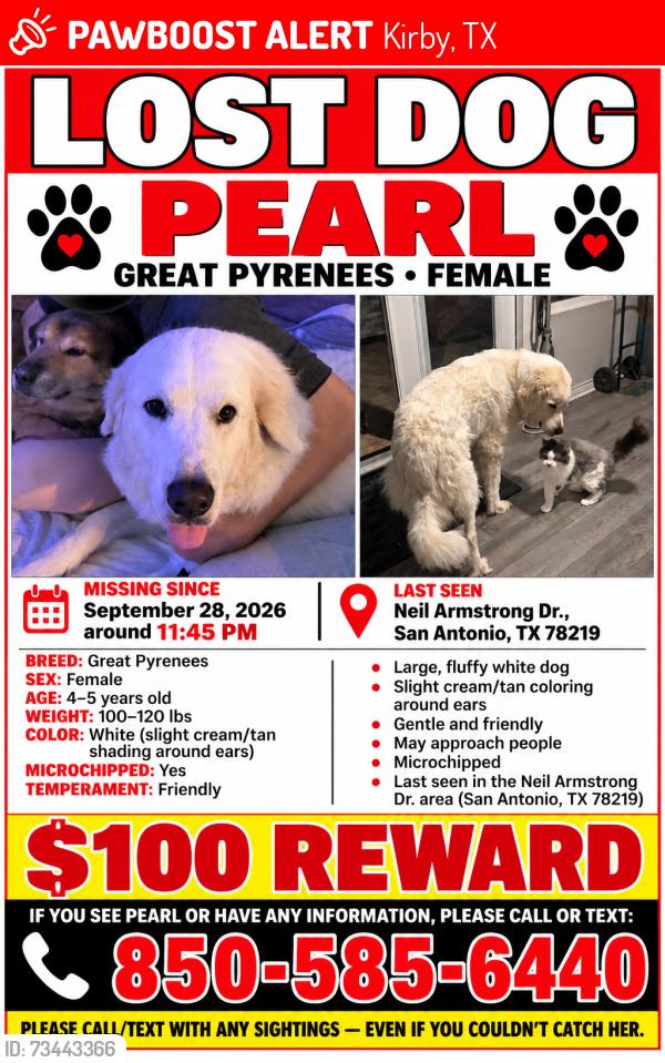 Lost Female Dog last seen She was at mt friends hse, Kirby, TX 78219