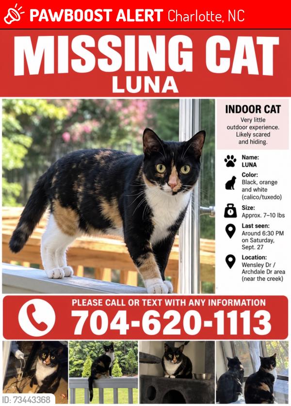 Lost Female Cat last seen She was see walking around a driveway on Shadyview Dr, Charlotte, NC 28210