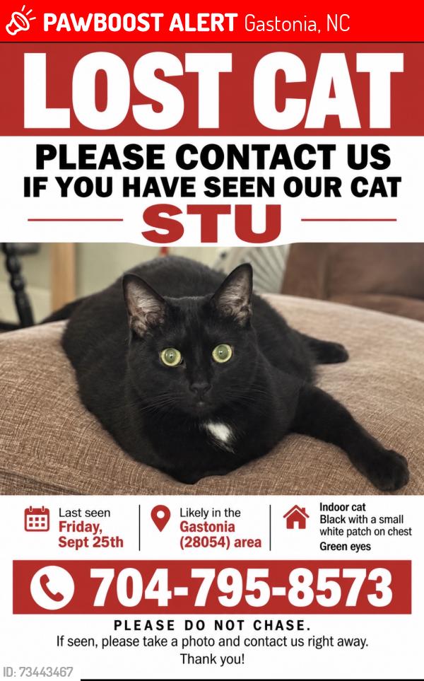 Lost Male Cat last seen Near Warlick Y, Gastonia, NC 28054