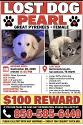 Lost Female Dog last seen Alders Gate, Kirby, TX 78219