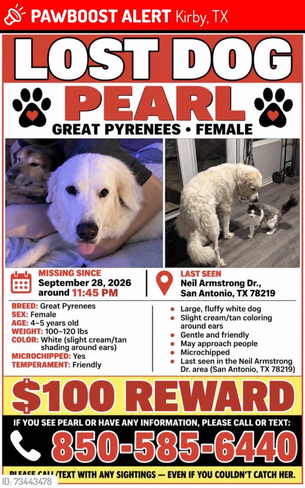 Lost Female Dog last seen Alders Gate, Kirby, TX 78219