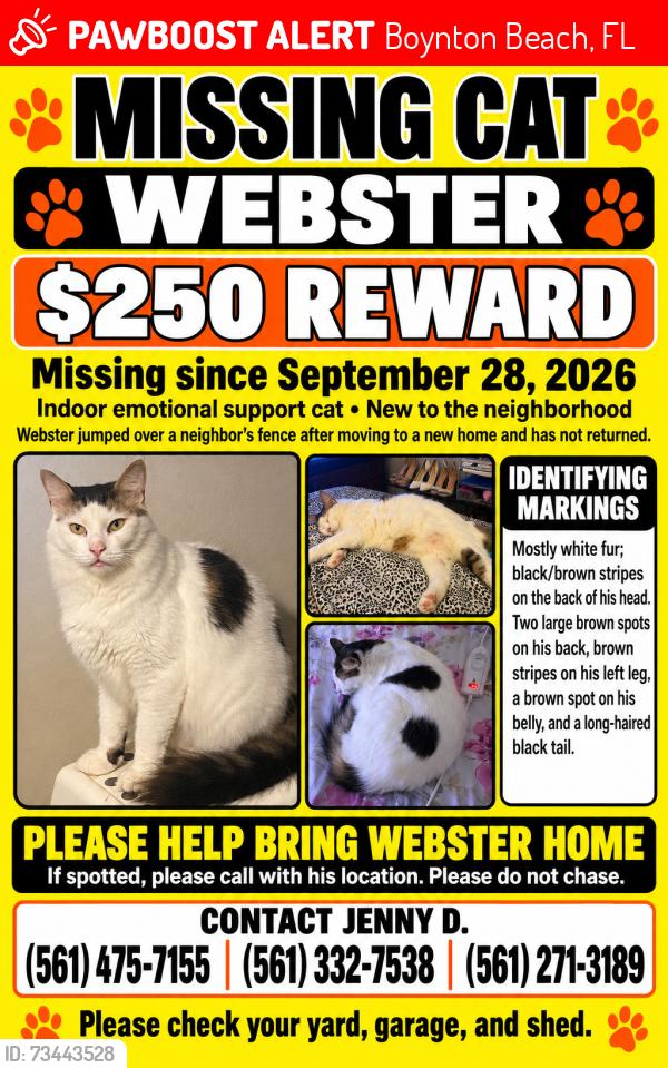 Lost Male Cat last seen Country fair circle community, Boynton Beach, FL 33437