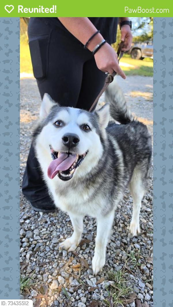 Reunited Male Dog last seen Hwy 78 & 83, Monroe, Waffle hse, Monroe, GA 30656