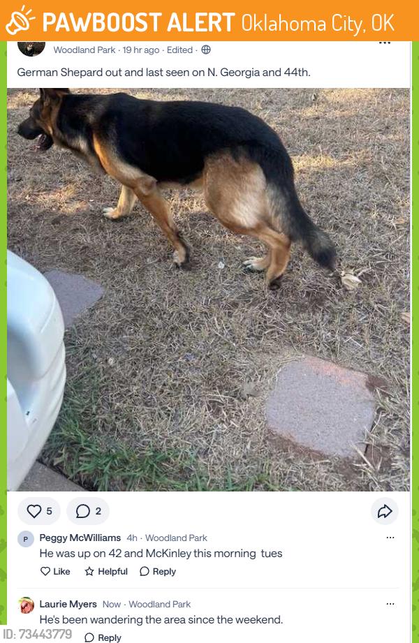 Found/Stray Unknown Dog last seen NW 44th Street and N. Georgia Ave., Oklahoma City, OK 73118
