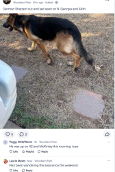 Found/Stray Unknown Dog last seen NW 44th Street and N. Georgia Ave., Oklahoma City, OK 73118