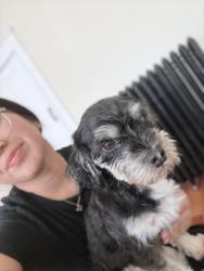 Reunited Female Dog last seen Im the 3rd ave and Susquehanna ave, Wyoming, PA 18644